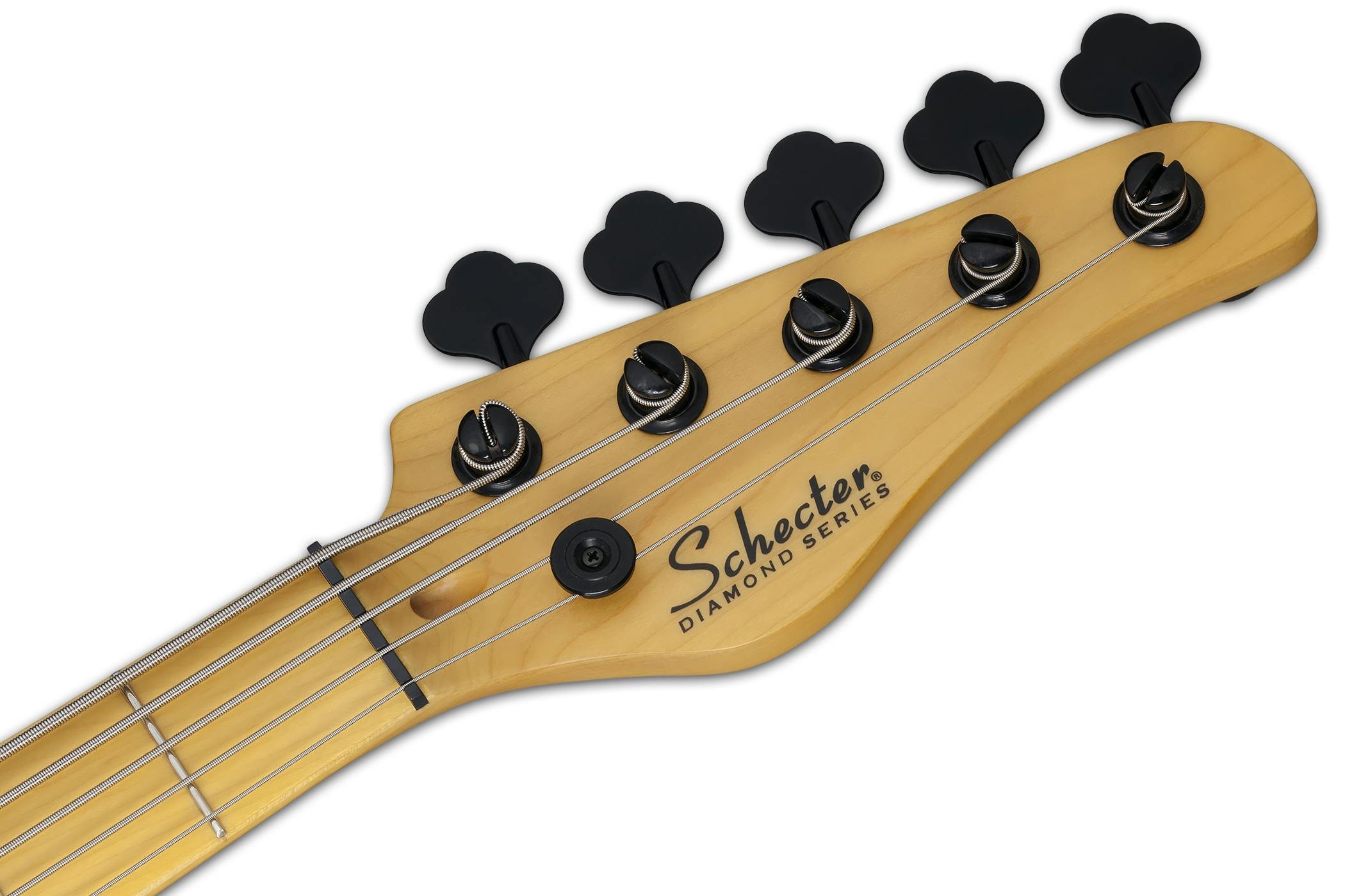 ベース SCHECTER MODEL-T SESSION-5 Schecter Model-T Session-5 Bass Guitar in Aged Natural Satin